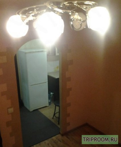 1-комнатная квартира посуточно (вариант № 47585), ул. Рахманинова третий проезд, фото № 4
